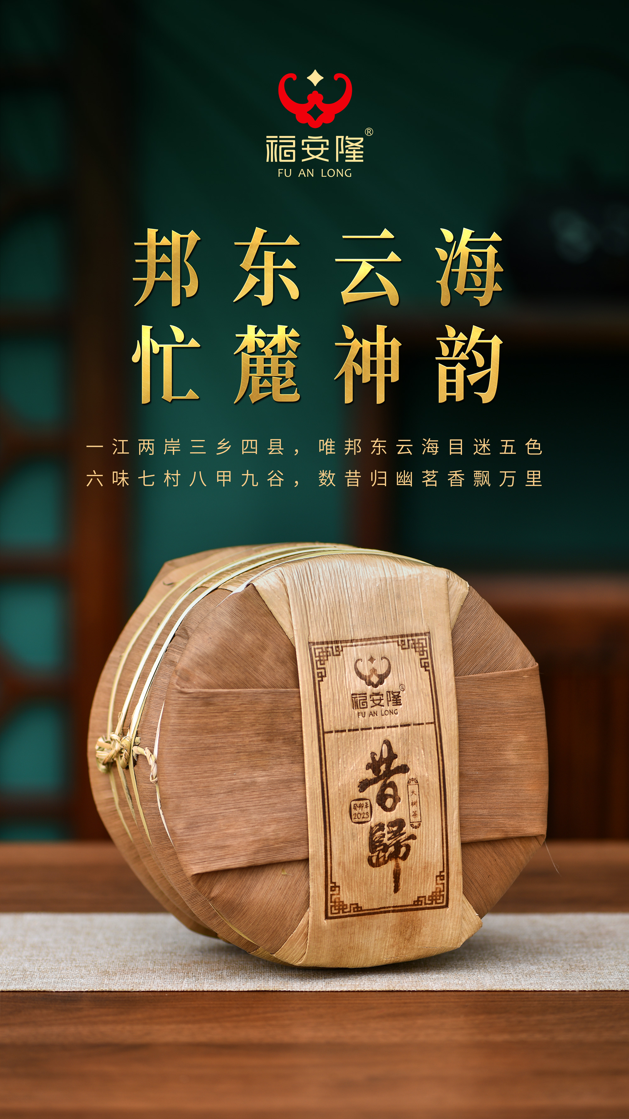 福安隆：【新品·昔归】临沧黑美人，茶中瘦西施！